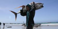 A Somali man carries a fish from a boat at the Liido beach in Mogadishu, Somalia May 13, 2024. REUTERS/Feisal Omar