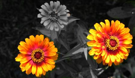 Adultery: State butts out of the bedroom, lets adults get on with it