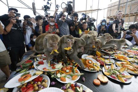 Thailand's annual Monkey Banquet, and more from around the world