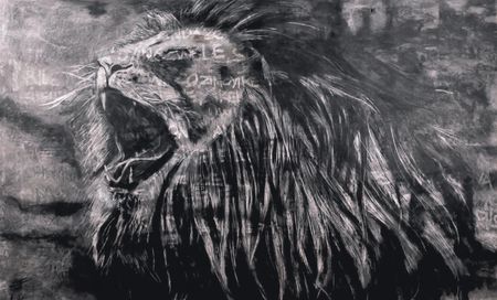 Fridge wrapping becomes a giraffe... and other visions — artist Lwazi Hlophe on his ‘automatic’ inspiration