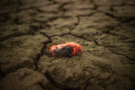 A Year in Pictures: Our Angry Planet