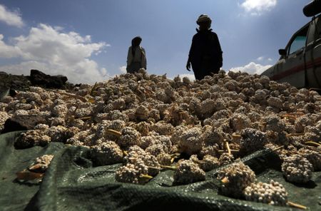 UN warns of danger of widespread famine in Yemen