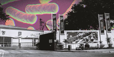 Listeriosis tragedy ‘breakthrough’ evidence makes ‘overwhelming’ case Tiger Brands was responsible - lawyers