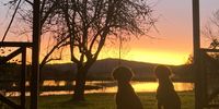 Sunrise over dam, Coolen, Hogsback. Image: Michal Pretorius