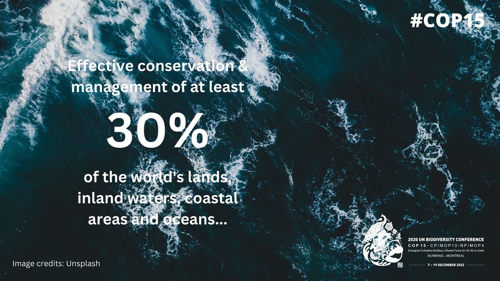 UN biodiversity agreement aims to slash global food waste by half
