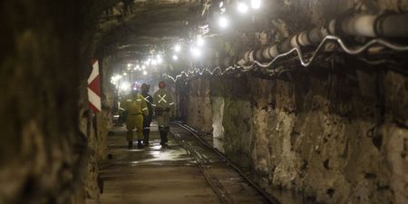 ANC shows it has lost the investment plot by giving more power to the chiefs