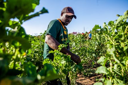 Expropriation and class bias — the great unmentionable