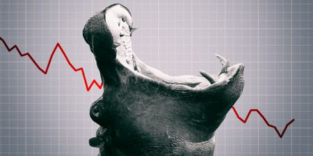 Mboweni starves most SOEs of additional funding to ‘close the hippo’s mouth’