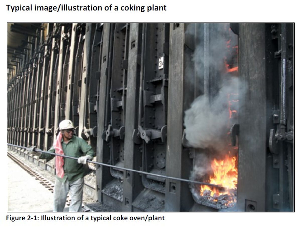 Limpopo bushveld ‘monster steel’ project challenged in court